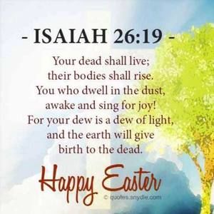 Meet your Posher, Shonda